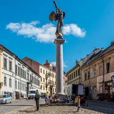 Angel House 40 * 维尔纽斯